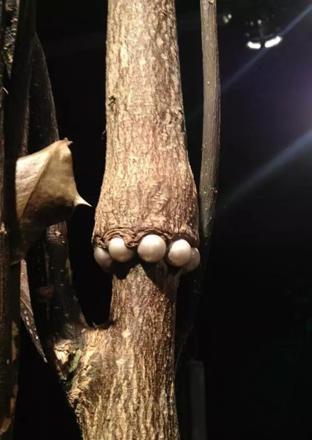 往年Schmuck展现场