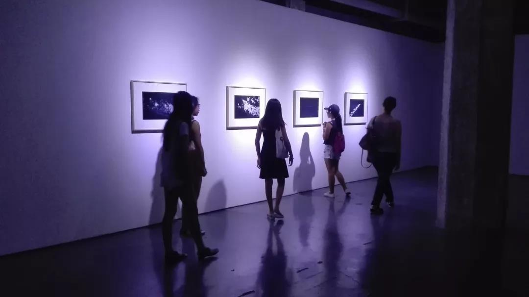 参观艺术展览