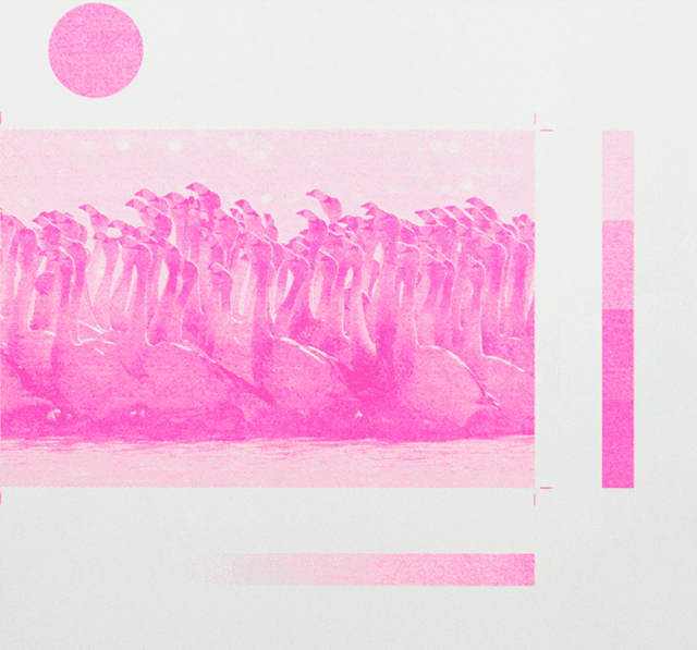 Risograph成为了平面艺术家们的心头爱