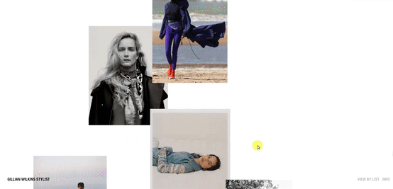  Gillian Wilkins 网站
