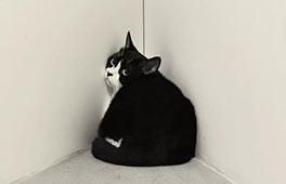 开幕邀请 | 致敬伟大摄影师Irving Penn——陈祺纬黑白肖像摄影展