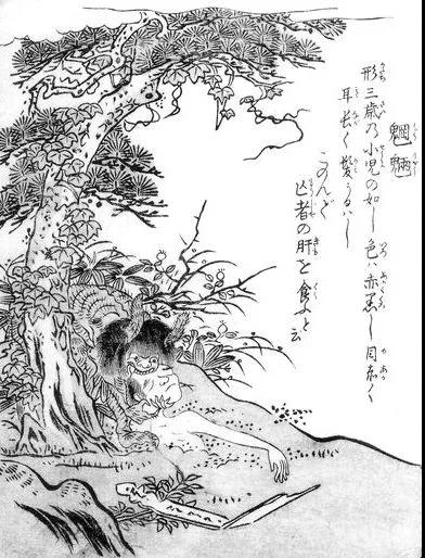 魍魉