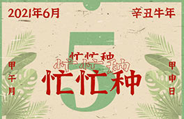 忙忙种 Seed of Imagination | AIVA 2021毕业展拉开帷幕，我们一起相约“芒种”！