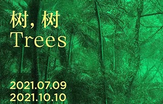 AIVA Guide | 高温来袭，我们在美术馆避暑，7月好展推荐