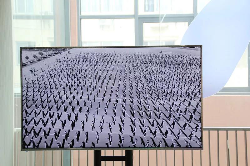 展场预告