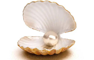 首饰材料 | Pearls 破茧新生的珍贵之珠